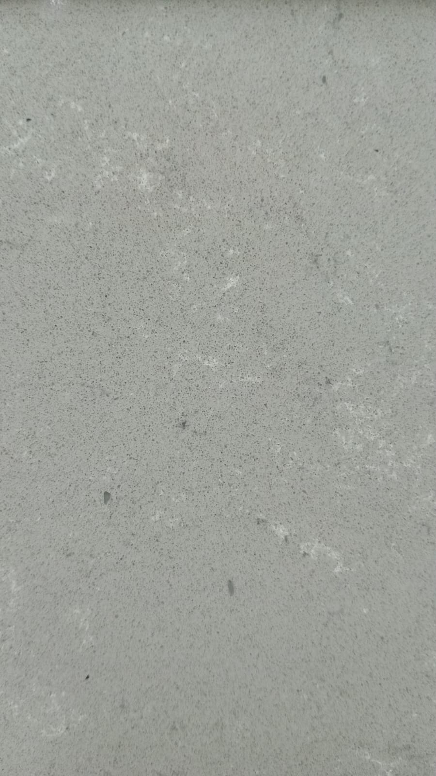 Gris Fosil