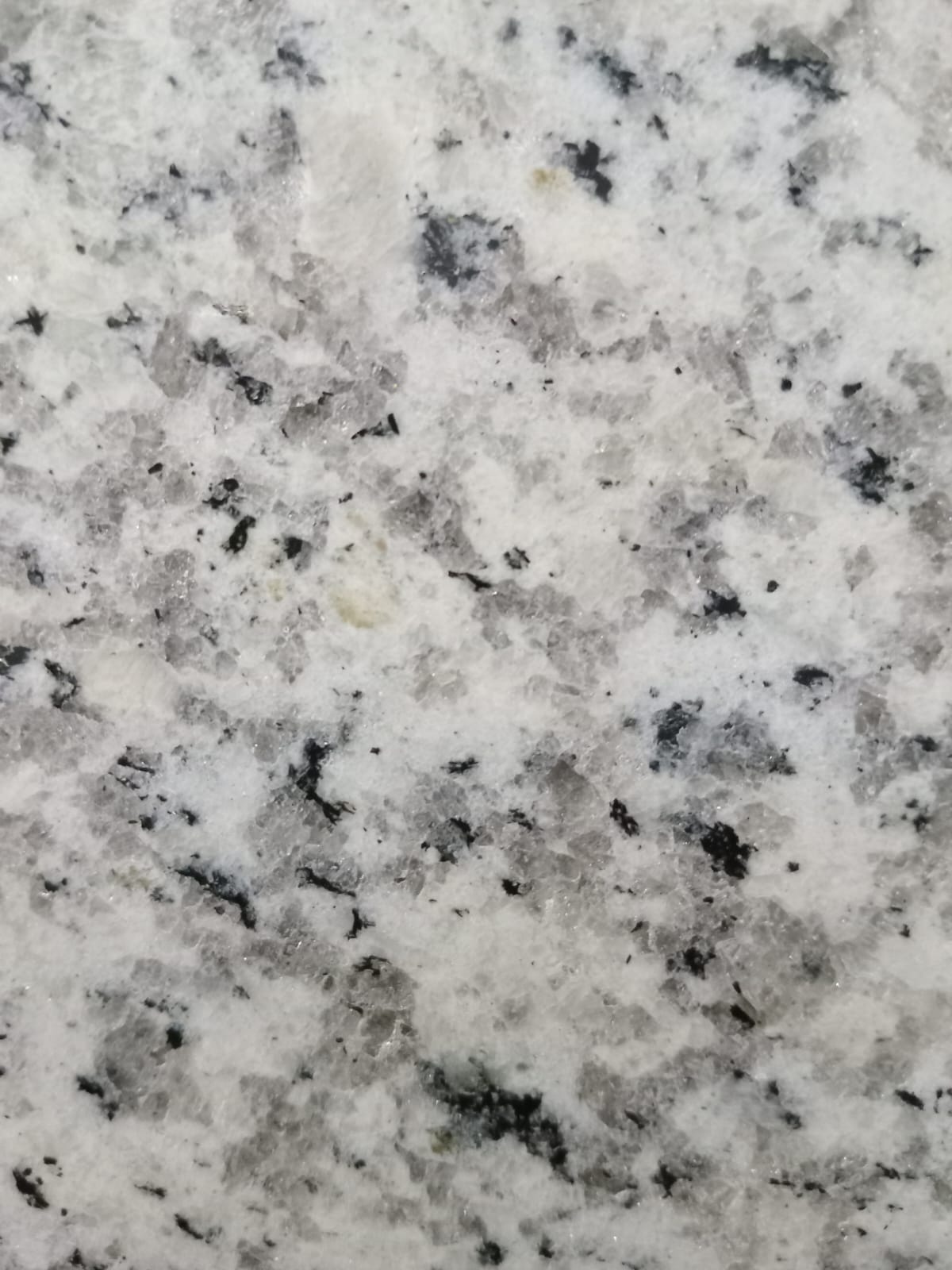 Blanco Fortaleza