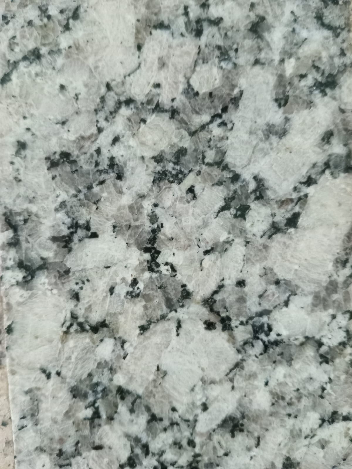 Gris Perla