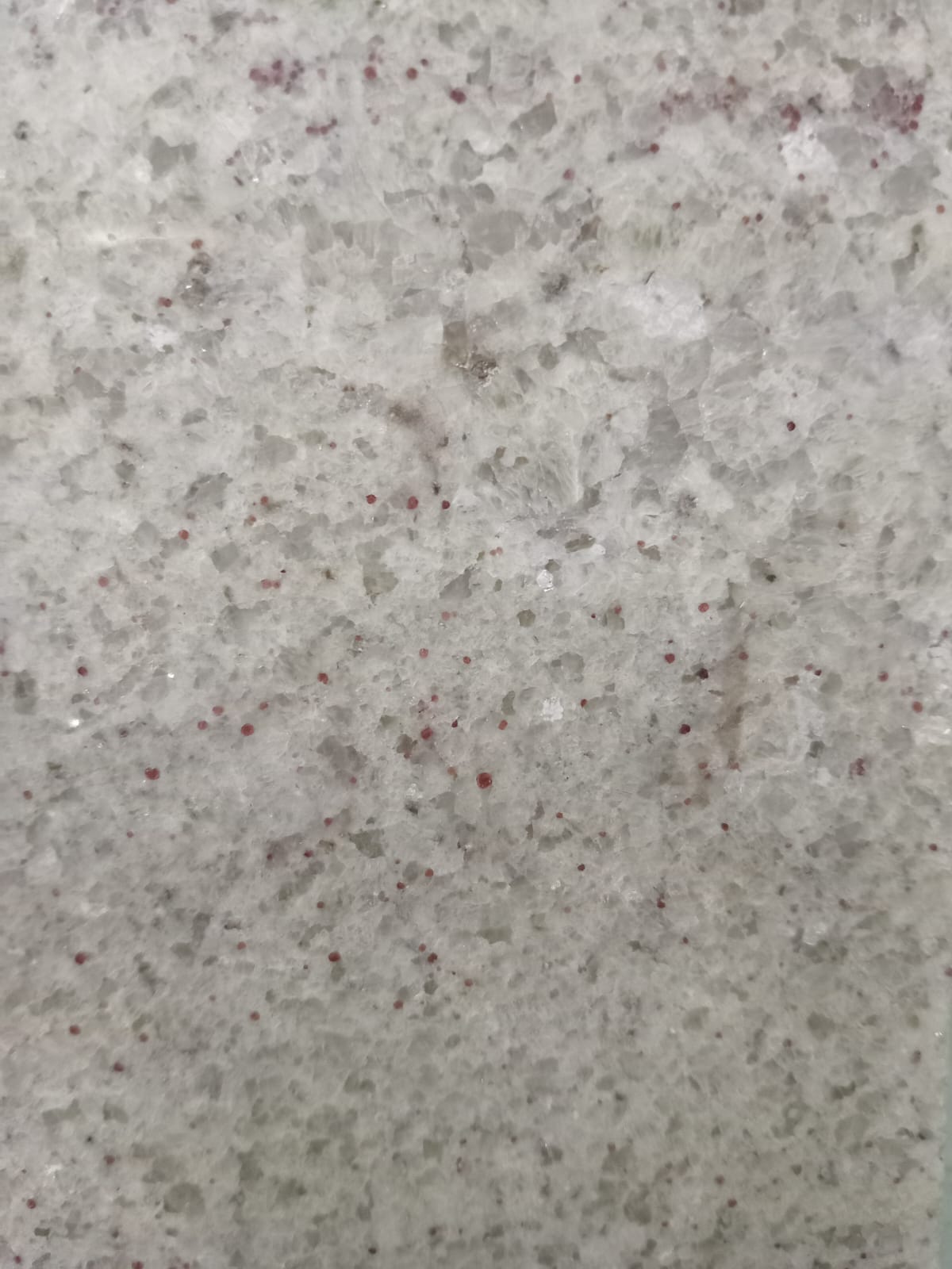Kashmir White