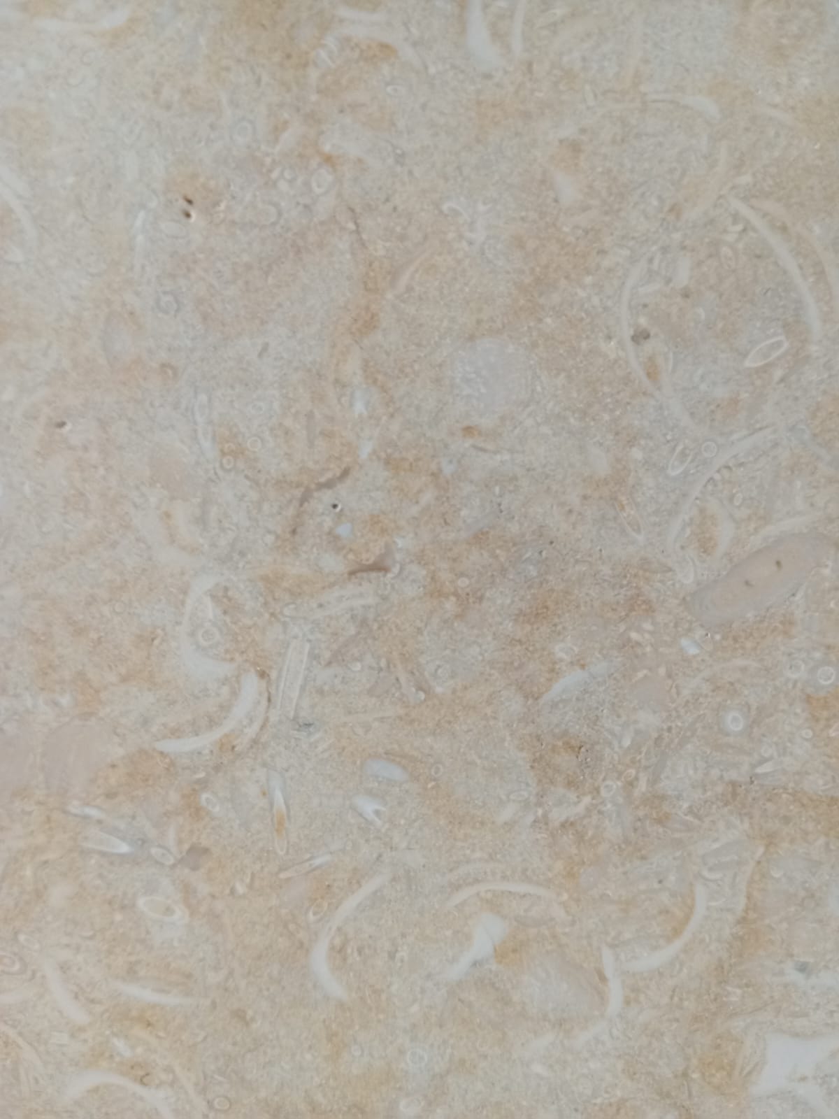 New Beige